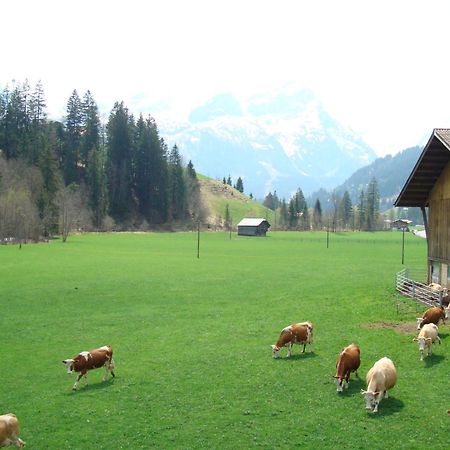 Casa Antica Daire Gstaad Dış mekan fotoğraf